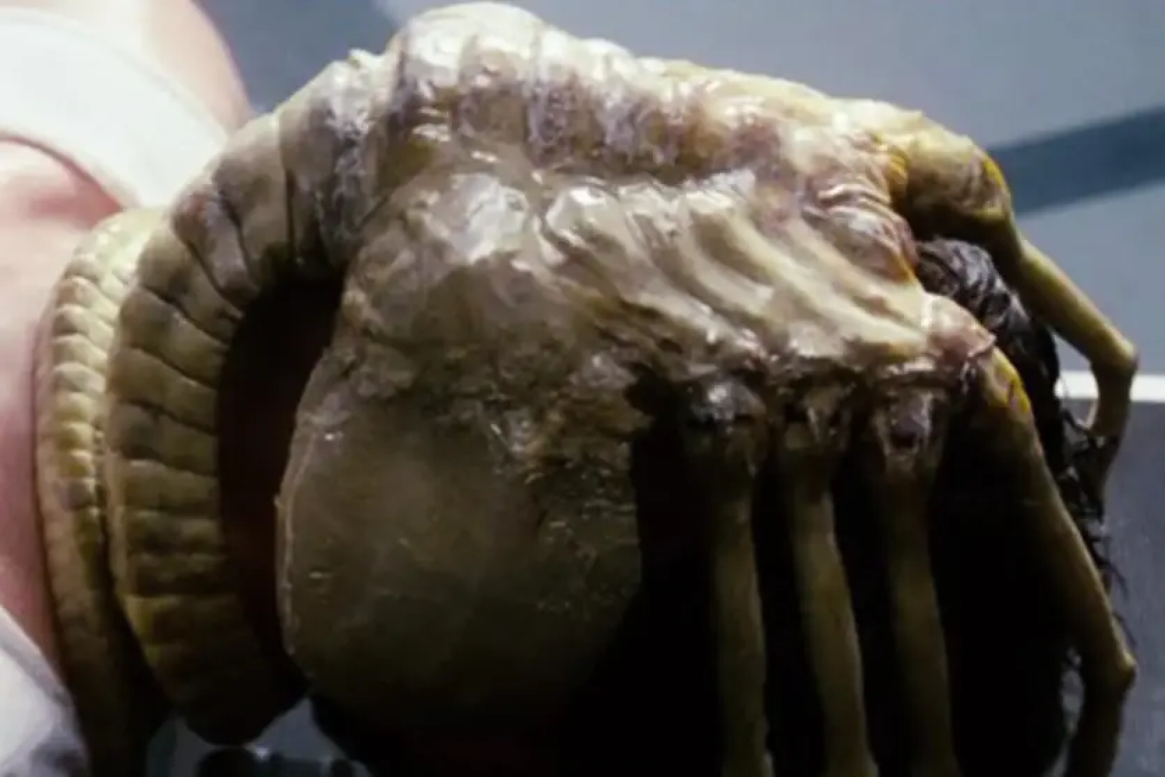 The director of the movie "Alien: Romulus" showed a model of the face grabber - the alien ran on the floor